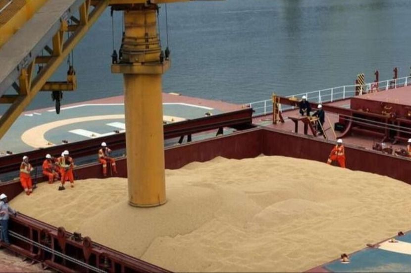 El complejo aceitero consolidó marcas históricas en la exportación de aceites y harinas durante el primer semestre