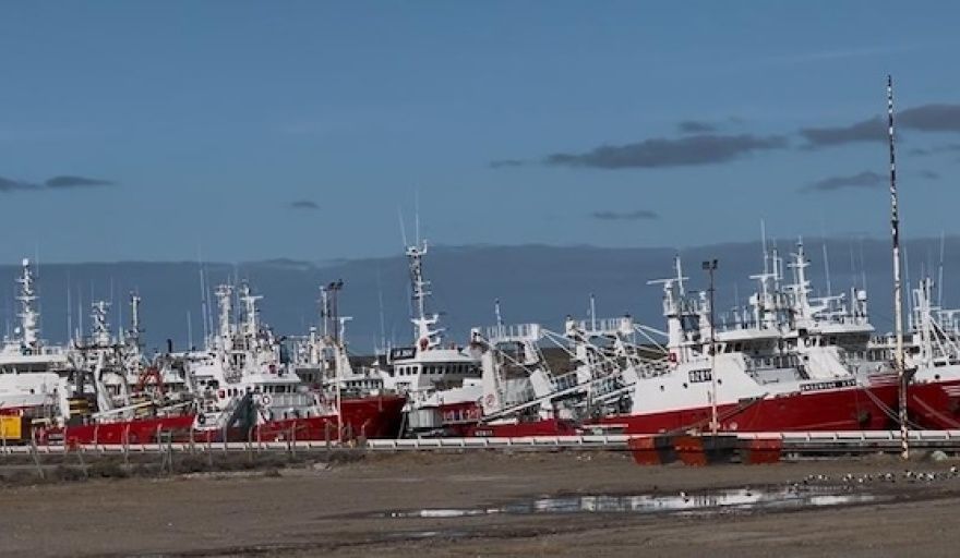 Cierran tres subáreas a la pesca de langostino por sobrepasar el límite de captura incidental de merluza