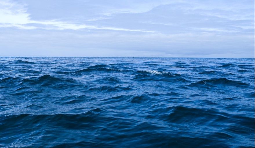 25 de Junio: Día de la Gente de Mar, Pilares Invisibles del Comercio Global