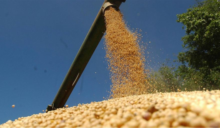 Con un crecimiento del 32% en 2025, el agro argentino consolida un sólido desempeño exportador