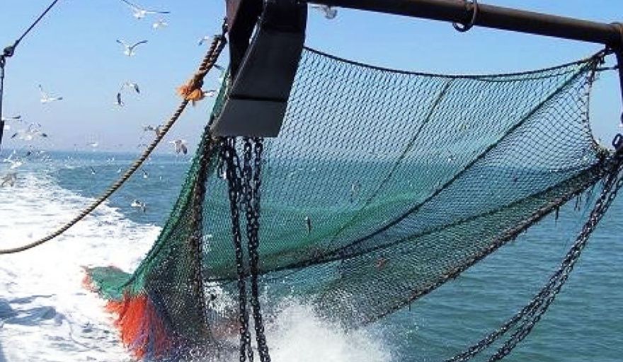 El valor de las Unidades Pesca aumenta un 13,26% y se actualiza el régimen sancionatorio