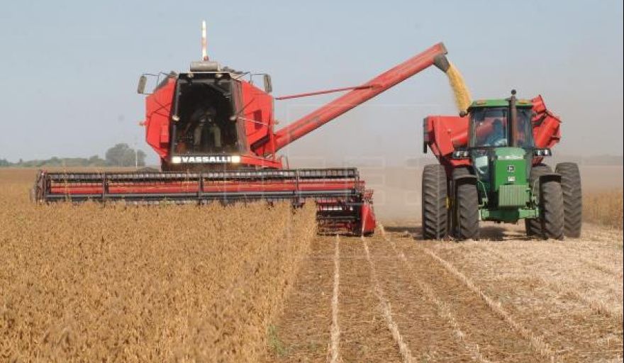 Argentina proyecta la mayor exportación de soja en 15 años: la Secretaría de Agricultura eleva la previsión a 12,3 ,illones de toneladas