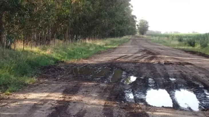 La deficiente infraestructura rural Argentina limita la competitividad de la logística agropecuaria