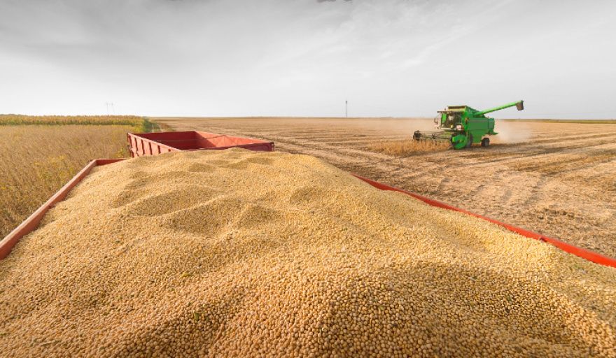 CIARA-CEC resaltó que India se mantiene como destino clave para los aceites vegetales argentinos