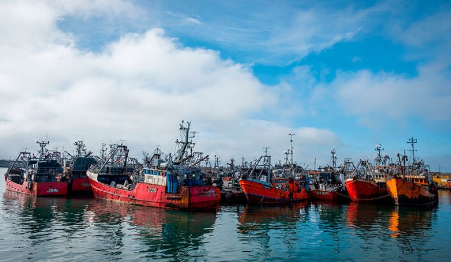 Inicio de la temporada de merluza en Mar del Plata: precios estables y presión creciente de costos