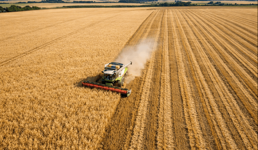 Acuerdo MERCOSUR-UE: impacto en la producción, el consumo y las exportaciones agroindustriales argentinas al 2035