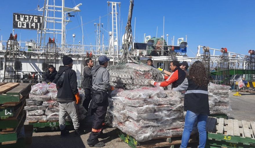 Puerto Deseado vuelve a ponerse en marcha con el inicio de la zafra de calamar