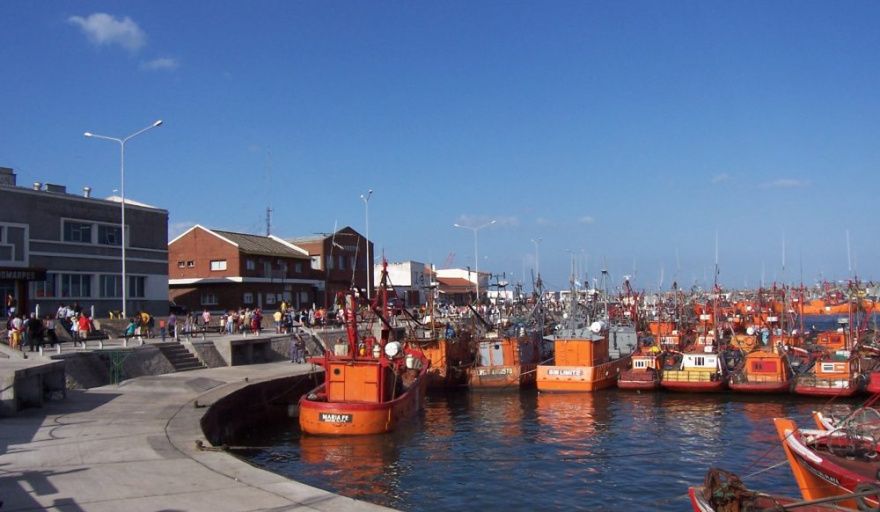 Regresó el atún barrilete a la banquina histórica de Mar del Plata tras más de tres décadas