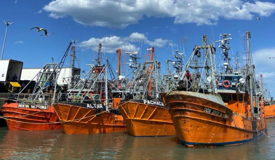 Rawson transita el cierre de la zafra de langostino con alto volumen y un escenario comercial en ajuste