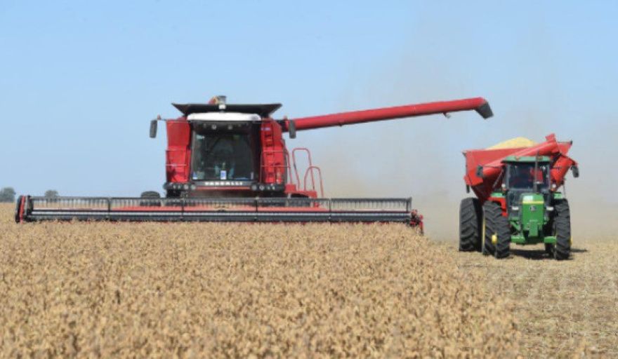El agro volvió a liderar el desempeño sectorial en 2025