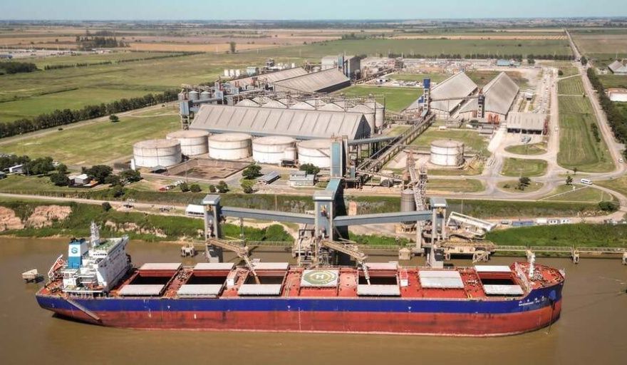 El comercio de graneles secos cerró 2025 con cambios estructurales en rutas, cargas y flota