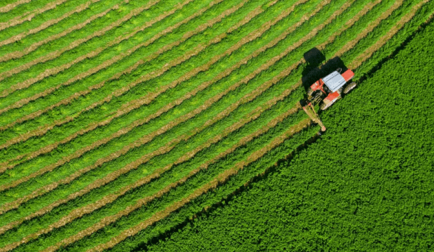 Exportaciones de alfalfa batieron récord en 2025