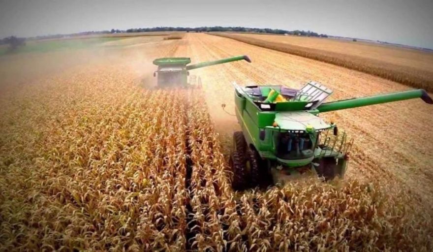 El Consejo Agroindustrial Argentino destacó la aprobación de la Ley de Modernización Laboral y del capítulo RIMI