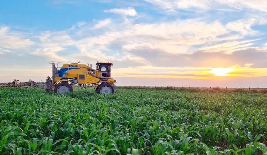 Entre el récord triguero y la debilidad de la soja: así cerró el agro 2025