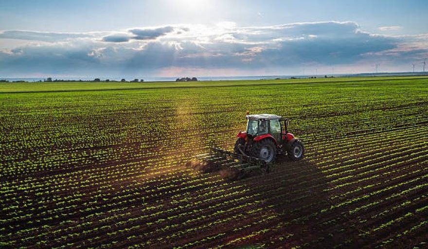 La actividad agropecuaria alcanzó un nuevo máximo histórico en enero