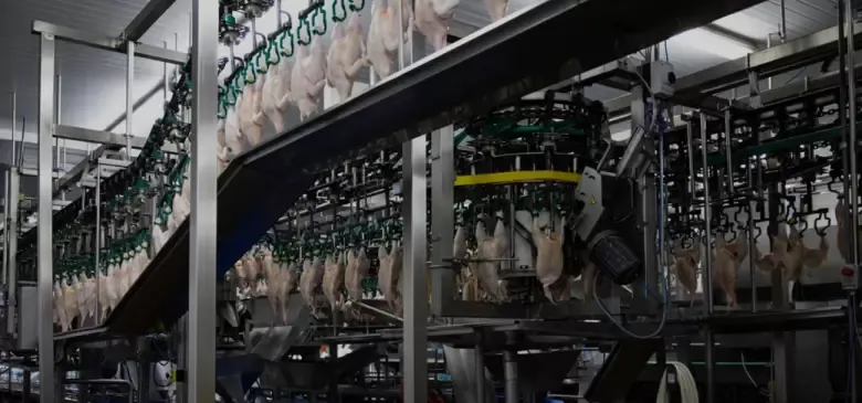 La avicultura argentina cerró 2025 con 2,47 millones de toneladas y casi 50 kilos de consumo per cápita