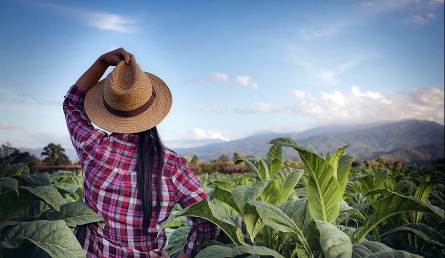 Expoagro será sede de “ENTRAM.AR”, una iniciativa para fortalecer el rol de las mujeres rurales