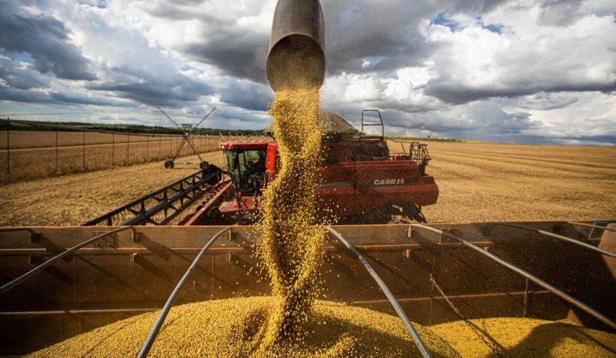 La soja volvió a liderar las exportaciones argentinas en 2025 y concentró casi el 25% de las ventas externas