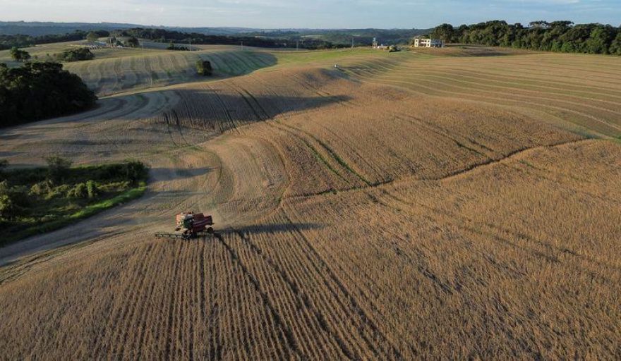 Brasil amplía su ventaja productiva sobre Argentina y crece la brecha en el agro