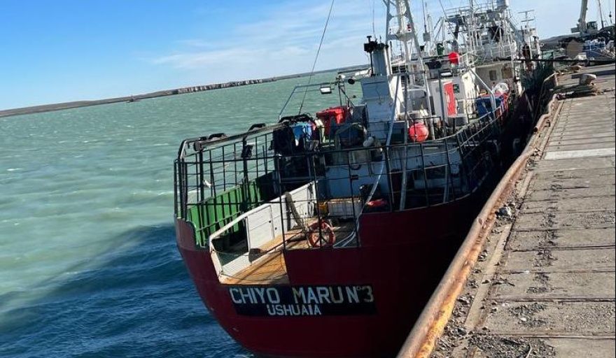 El Consejo Federal Pesquero define asignaciones de captura y avanza en medidas para calamar y langostino