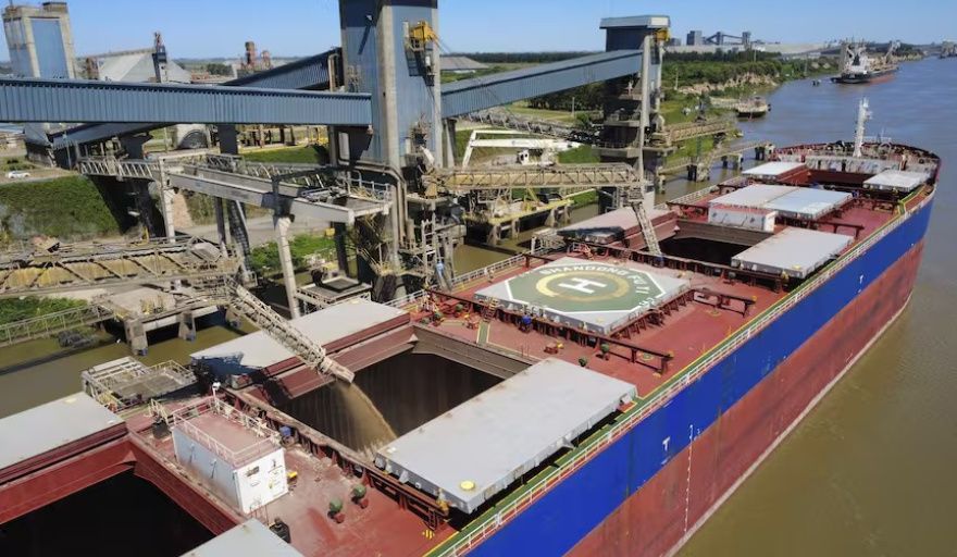 El agro argentino marca un inicio de año récord en exportaciones y volumen operado