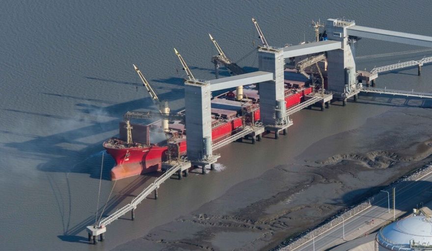 El complejo agroexportador aumentó el ingreso de divisas en marzo y superó los US$ 2.000 millones