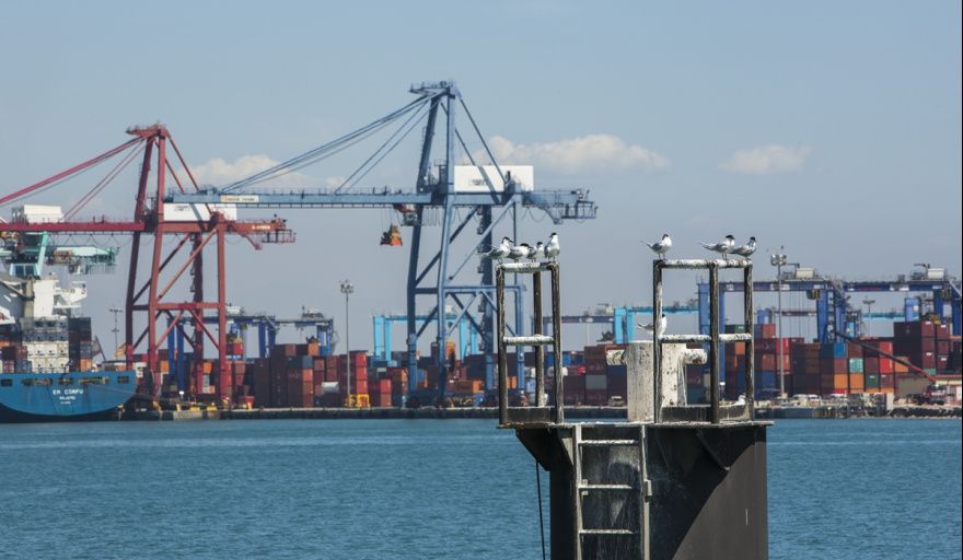 La OMI avanza en una estrategia global de digitalización para el transporte marítimo