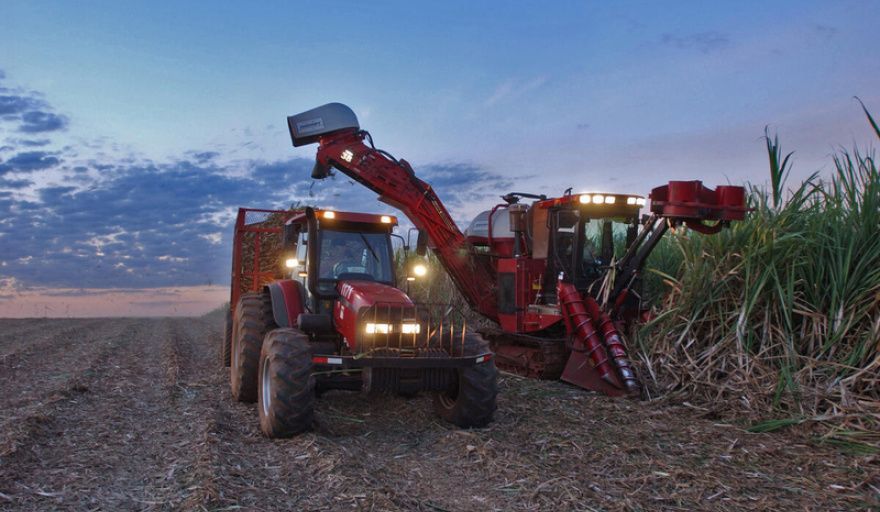 Suben los precios globales de los alimentos por el impacto de la energía y el conflicto en Medio Oriente