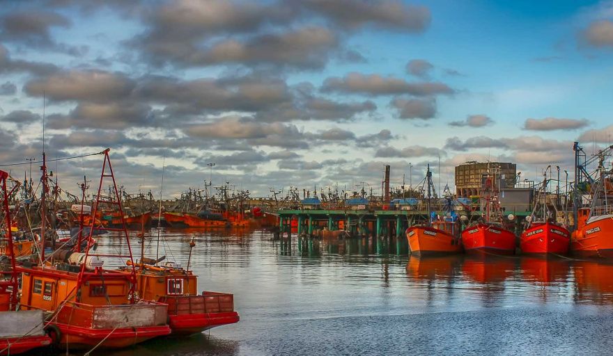 Avanzan gestiones para incorporar a Mar del Plata al circuito de cruceros internacionales