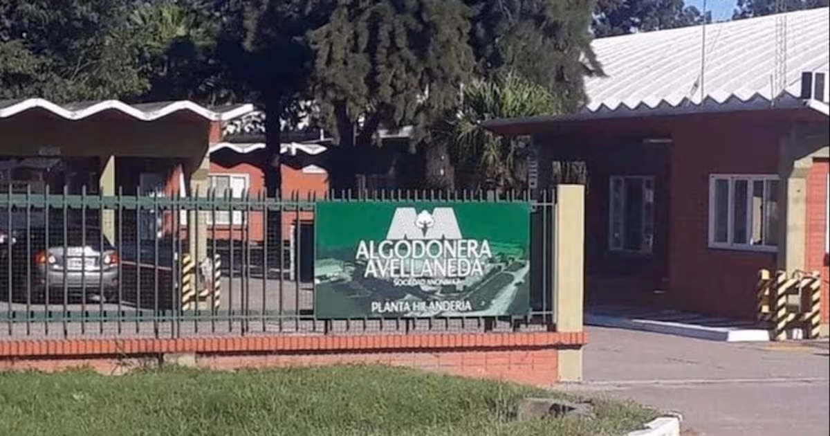 La Justicia autoriza reactivar plantas de Algodonera Avellaneda en plena campaña 2026