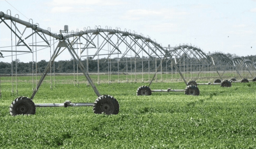 El RIMI contempla beneficios especiales para el agro: amortización en un año para riego, mallas antigranizo y genética animal sin monto mínimo de inversión