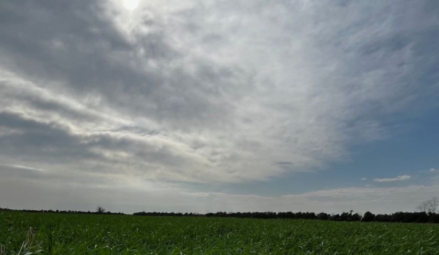 Lluvias contrastantes y descenso térmico marcarán la semana en el área agrícola argentina