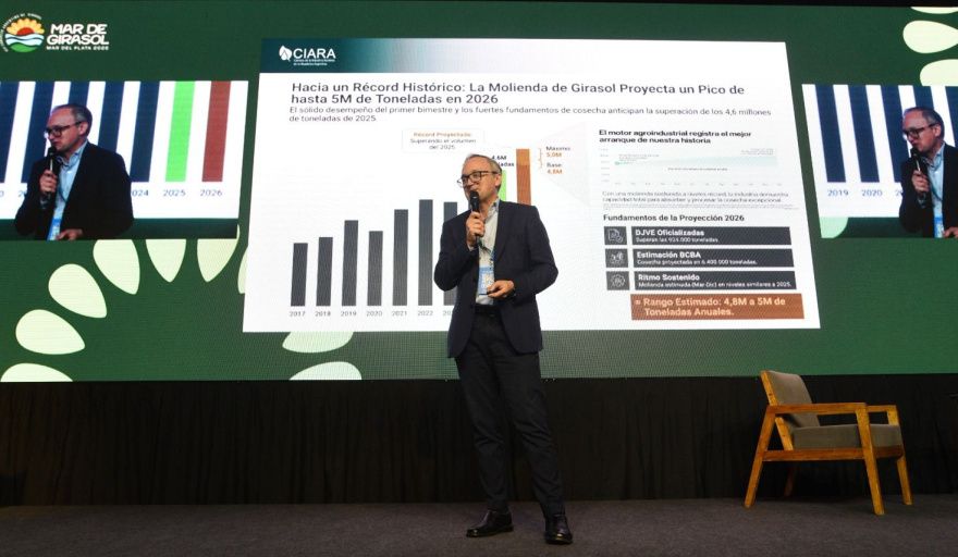 El girasol “es la estrella” pero enfrenta desafíos para consolidar su crecimiento