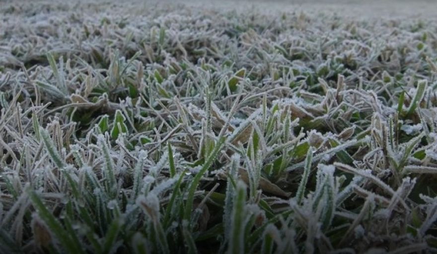 Heladas generales en el oeste agrícola y lluvias escasas en la mayor parte del territorio: el panorama climático para las próximas dos semanas