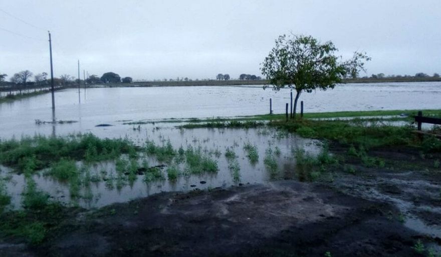 El Niño tiene un 82% de probabilidad de emerger antes de julio