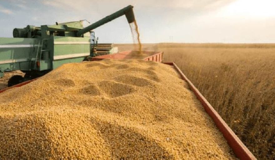 Paraguay exportó 3,9 millones de toneladas de soja en los primeros cuatro meses de 2026