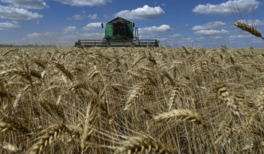 La baja de retenciones al trigo y la cebada mejora el FAS teórico entre USD 4,8 y 4,9 por tonelada