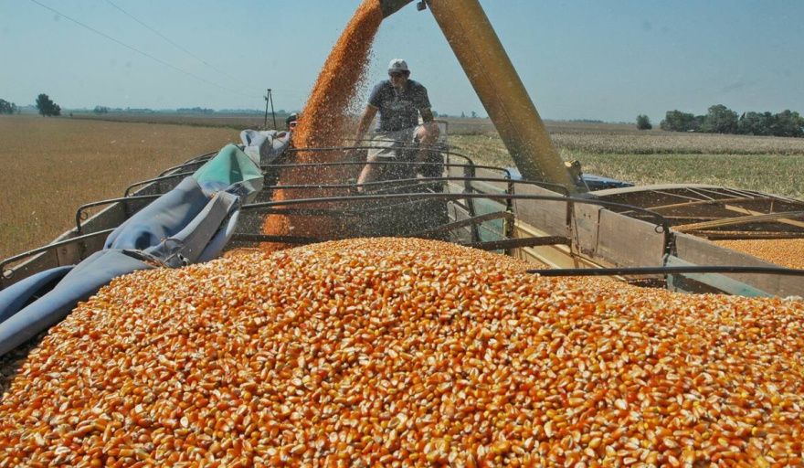 El crecimiento del procesamiento en Brasil y la volatilidad externa reconfiguran el mercado de subproductos de la soja