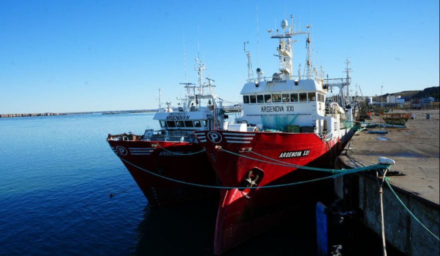 Santa Cruz fijó su posición ante la cuotificación del langostino y reclamó una cuota de 50.000 toneladas por su aporte a la conservación