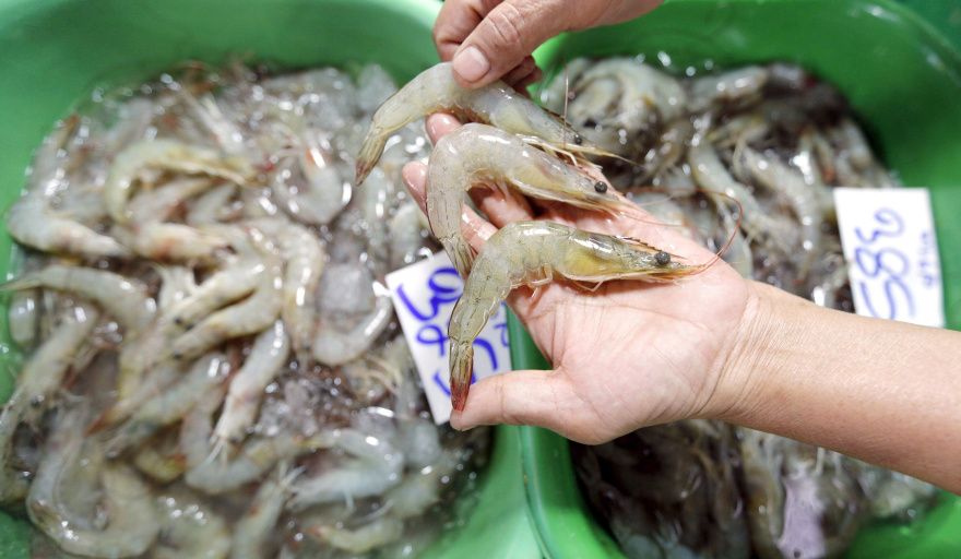 China importó casi 430.000 toneladas de camarón de cultivo en el inicio del año y presiona el tablero global