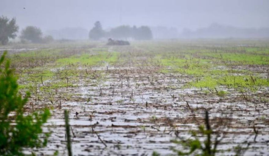 La Bolsa de Comercio de Rosario proyecta fuertes lluvias en la zona núcleo por El Niño hacia fin de año