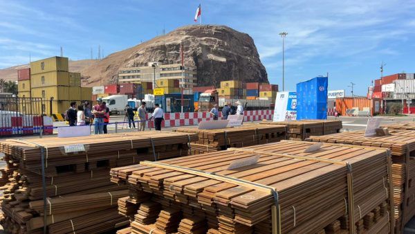 Imagen de portada - $8 mil millones costaría eliminar madera impregnada con droga que se incautó en Puerto de Arica