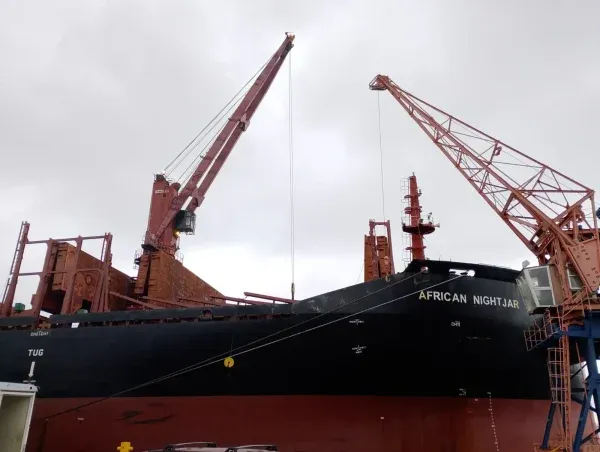 Imagen de portada - African Nightjar Loads 17,000 Tons of Pine in Fray Bentos