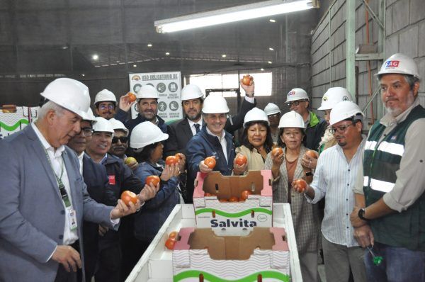 Imagen de portada - Arica and Parinacota Region Begins New Season of Tomato Exports to Argentina