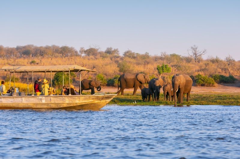Imagen de portada - Atlas Ocean Lanza Siete Programas de Safari Pre-Viaje para 2029