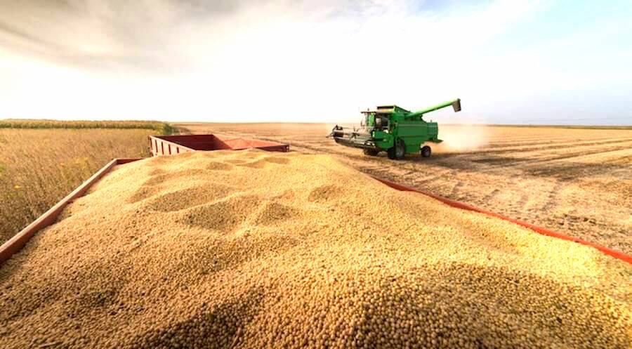 Fuerte alza en los mercados granarios: tensiones geopolíticas, clima y logística impulsan las cotizaciones en Chicago y la plaza local