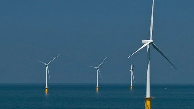 Imagen de portada - Coalición de Siete Estados Demanda para Bloquear la Compra de Arrendamientos Eólicos Marinos por Parte de Trump