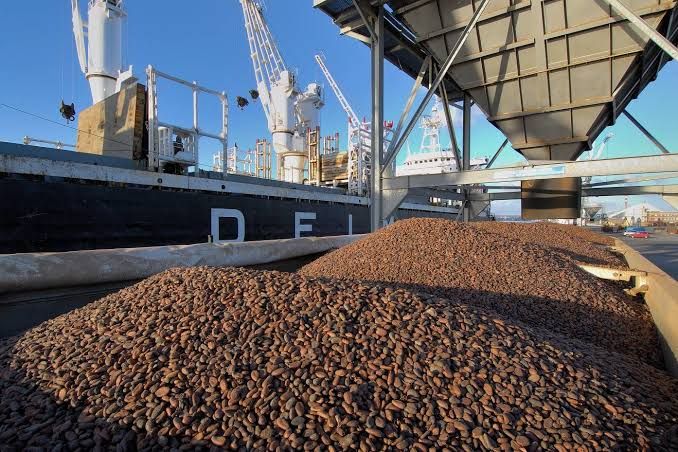 Imagen de portada - Cocoa Harvest Delay Threatens to Congest Ivory Coast Ports