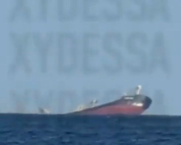 Imagen de portada - Golden Leo Sinks After Russian Attack in Ukrainian Port of Odesa