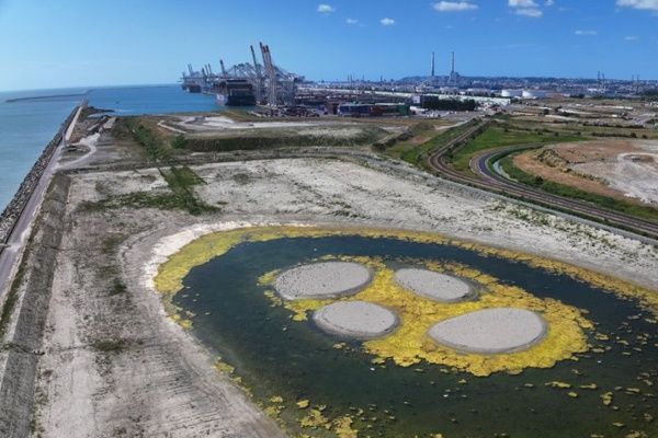 Imagen de portada - Haropa Port Creates 10.8-Hectare Wetland for Biodiversity